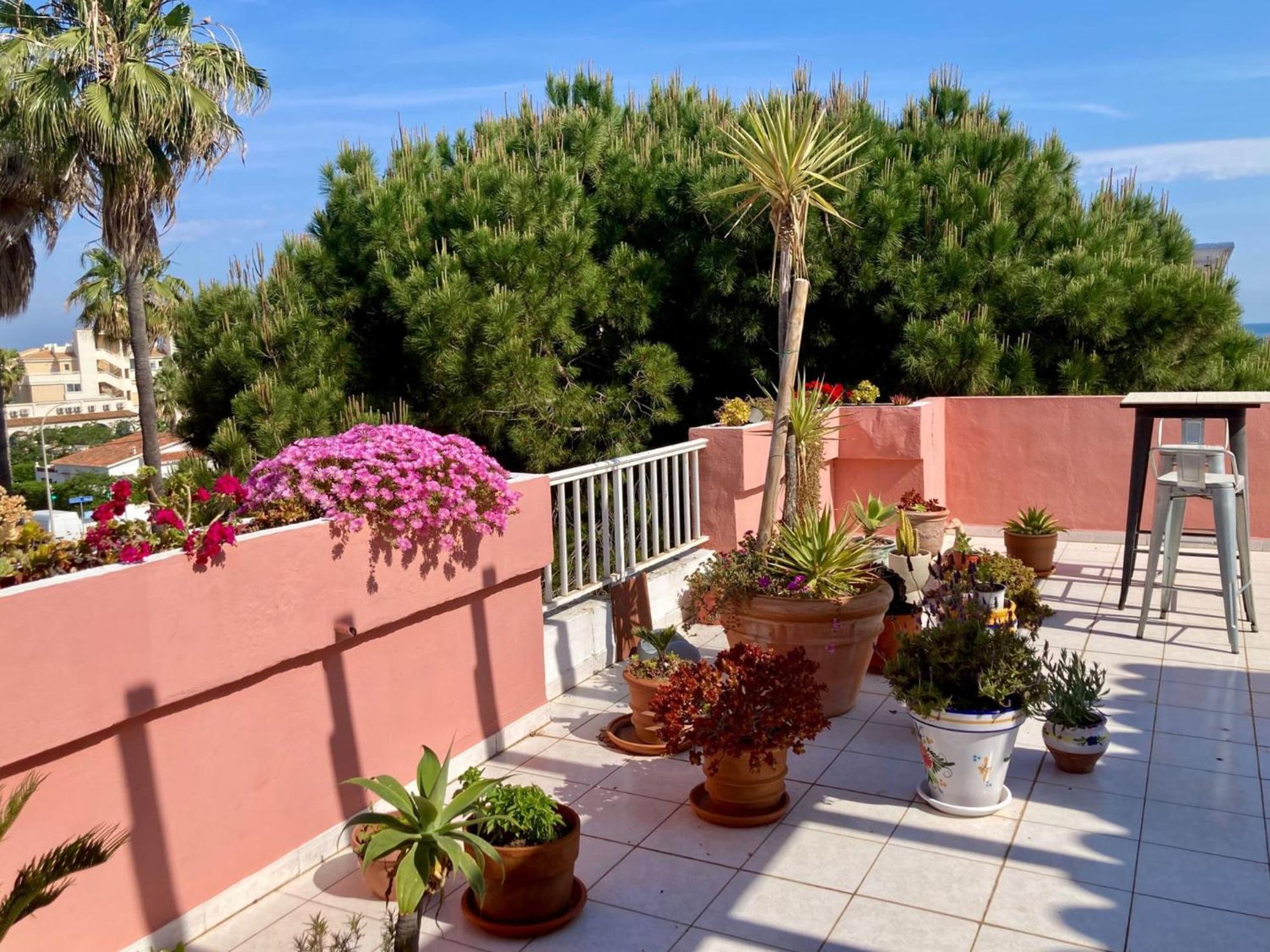 Atico Jazmines Denia Lägenhet Exteriör bild
